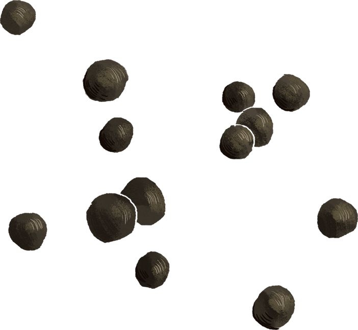 BetaCaryophellene-transparent
