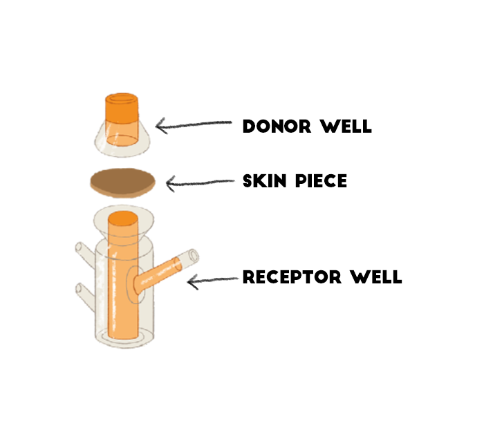 Franz Diffusion Cell 