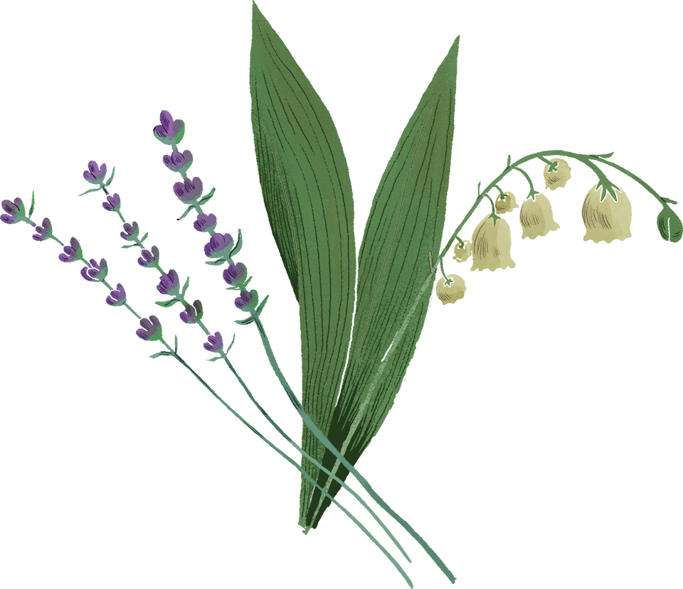 Linalool-transparent