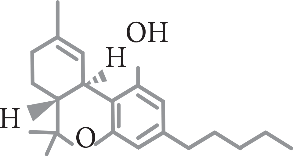 THC-Transparent